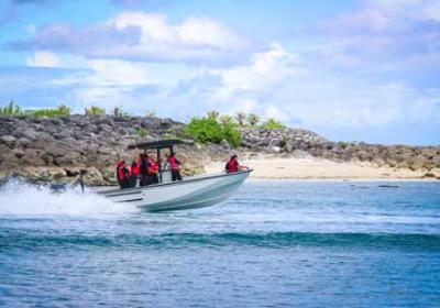 Certificate in Criminal Justice - Marine & Terrestrial Conservation Enforcement